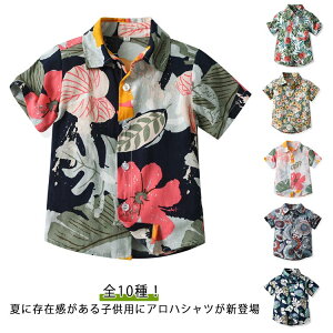 �y���������z120 ���s �������� �A���n�V���c �j�̎q �ԕ� �q���� �n���C�� �W���j�A �V�� ���]�[�g ���� �Ղ� �r�[�`�E�F�A �J�W���A���V���c �c���� ���� ������ �t�� 70 80 90 100 110 150 130 14