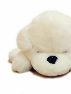 A  ʂ j̎q ̎q Y fB[X 킢 l` a v[g Ԃ zCg