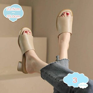 T_ fB[X ~[ q[ 4.5cm ɂȂ EȂ C r Ȃ 芴 Lo p[eB s Ȃ 킢  GKg T{T_ 傫TCY ʋ It