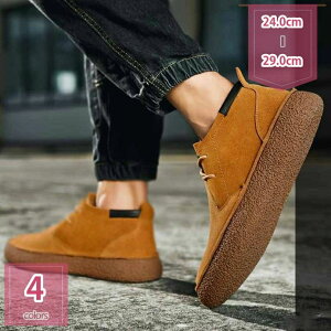 3 rWlXu[c ҂ݏグ Y u[eB V[gu[c [q[ oCN tďH~ [XAbv Be[W tH[} C ʋ ItBX d o amC rWlXV[