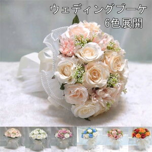 bh/u[/zCg/sNyu[PzEGfBOu[P ԉ u[P  EFfBOu[P  uC_u[P  񎟉 GKg CO y23cmA25cmz~b