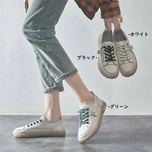 EH[LO wlC t ɂȂ H ₷ fB[XXj[J[ ₷ ^C y ؍ X|[c r tbgV[Y y` lC V V[Y JWAV[Y  