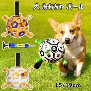   {[ Ct  g[uV ϋvg[jO ^s XgX Pߋ TbJ[{[ ݂₷ e͐ Lk [vጢ {[ ^ 