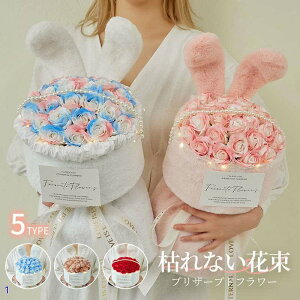 Of[V \[vt[ ԑ u[P a v[g  lCMtg hCt[ CeA LO \ hV̓ ̓ ސE c ޏ ʉ ԑu[P v[