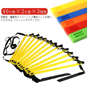 _[g[jO g[jOpi 싅   K  TbJ[ p[ܕt v[g X|[c 2M 3M 4M 5M 6M 7M 8M 10M    qǂ q oXP