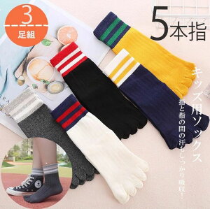 ̎wRɓoI3g 5{w ܃\bNX N[\bNX q C C ܖ{w\bNX LbY V[g\bNX  j̎q ̎q X|[c\bNX WjA 