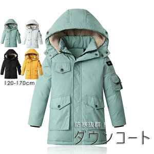 _ER[g LbY@q j̎q ̎q AE^[@_EWPbg _ER[g O ʊw LbY h H~ WjA AE^[ ~ ʉ AEghA LbY WjA hۉ