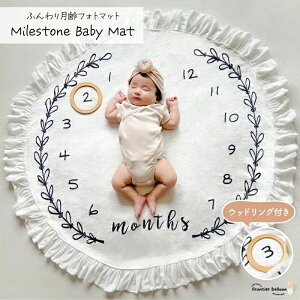  tHg  ӂӂ xr[ }bg Ԃ xr[tHg j[{[tHg wiz QA[g n[to[Xf[ vC}bg j QA[g LOBe QA[g 