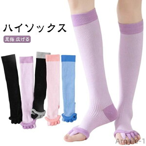 fB[X w L 5{w \bNX \bNX [\bNX J ӂ͂T|[^[  C Jo[ }bT[W  ₦  