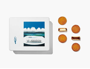 Xm[Th ƍ `R[gTh 12 (6{6) 1 ܕt َq NbL[ `R[g kC v[g yY SNOWS ̂Ƃ zCg`R[g Cxg lC 