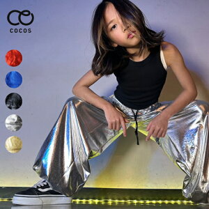 _Xߑ qbvzbv pc X[p[ ^bN CJPS-01[LbY K[Y WjA fB[X _X ߑ h ڗ LL _{pc Chpc ؍ qbvzbvK[Y HI