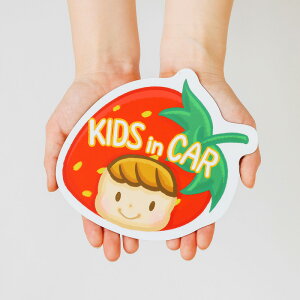 y5P5{+200~OFFN[|z LbYCJ[ }Olbg^Cv   oii Ԃǂ  ʕ q  XebJ[ 傫 qڂĂ܂ ǂ J[TC xr[C