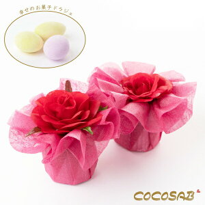 y18P10{+180~N[|z t[[Y hWF 20Zbg yheartyz v`Mtg َq 500~ 300~ ސE    nEB  肪Ƃ Yx A ZX̂