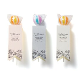 【14日まで!80円OFFクーポン配布中】 Candy tags 棒付キャンディー 20個セット 【CIH】 プチギフト お菓子 500円 300円 退職 大量 個包装 結婚式 クリスマス お正月 お年賀 2026年 おしゃれ ありがとう 産休 挨拶 子供 お世話になりました 送料無料 キラット