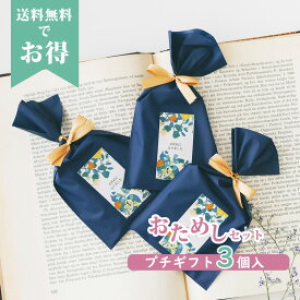 【39円OFFクーポン配布中】 プチギフト 入浴剤 【3個お試し】 ネイビーゴールド 選べるメッセージ 500円 300円 退職 大量 個包装 結婚式 職場 卒園 卒業 母の日 父の日 センスのいい お礼 プレゼント ありがとう 産休 挨拶 子供 お世話になりました ココサブ
