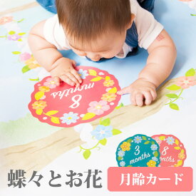 【14日まで!80円OFFクーポン配布中】 月齢カード マンスリーカード【蝶々とお花】 1000円ポッキリ ポイント消化 送料無料 月齢フォト 月齢ステッカー 寝相アート お昼寝アート ベビー月齢カード ステッカー 赤ちゃん ベビーフォトグッズ 出産祝い