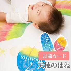 【14日まで!80円OFFクーポン配布中】 月齢カード マンスリーカード【天使のはね】 1000円ポッキリ ポイント消化 送料無料 月齢フォト 月齢ステッカー 寝相アート お昼寝アート ベビー月齢カード ステッカー 赤ちゃん ベビーフォトグッズ 出産祝い