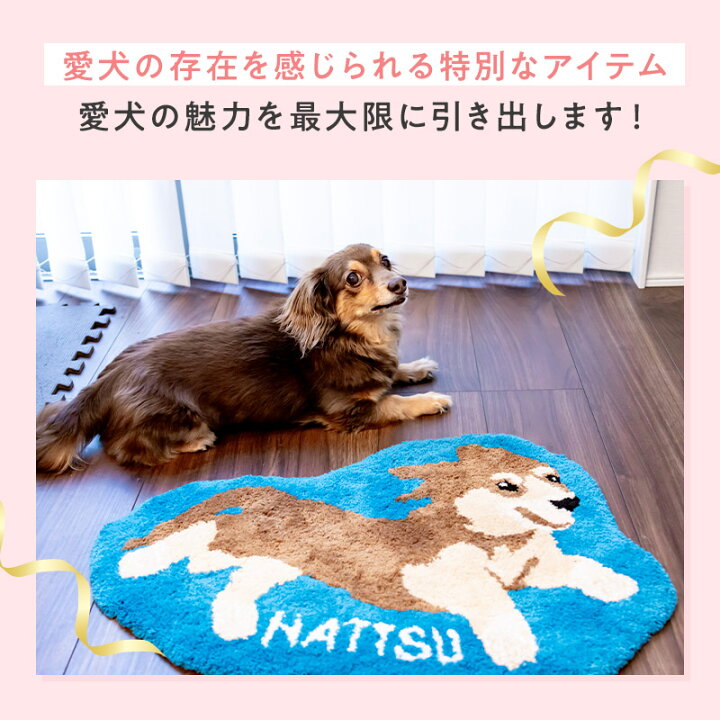 楽天市場】【26日20時〜P10倍+180円クーポン】 【2024年10月30日新発売  