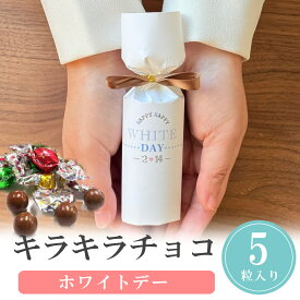 【20日20時〜P10倍+250円クーポン】 プチギフト お菓子 シーズナル 500円 300円 退職 大量 個包装 結婚式 職場 卒園 卒業 バレンタイン センスのいい お礼 ありがとう ギフト ばらまき 産休 挨拶 子供 お世話になりました ココサブ