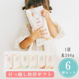 【12/9限定★最大P10倍150円クーポン】 お米でご挨拶 名入れギフトセット 300g×6個入り 1.5kg 一升米 選び取りカード セット 1歳 誕生日 個包装 ファーストバースデー 赤ちゃん 出産祝い ファーストバースデー