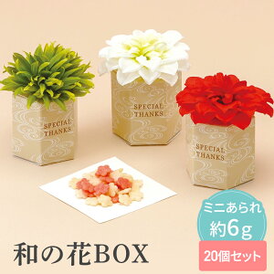 y39~OFFN[|zzz ảBOX 20Zbg ysunveilz v`Mtg َq 500~ 300~ ސE    nEB  肪Ƃ Yx A ZX̂ q bɂȂ