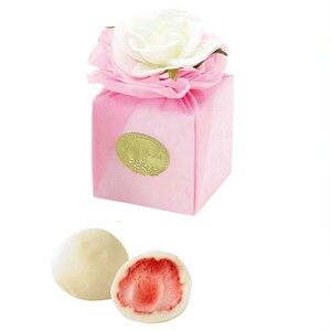 y29܂!80~OFFN[|zzz nbs[pEsN zCgXgx[`R 20Zbg yheartyz  ސE nEB oY x bɂȂ܂ Ԃ w q 500