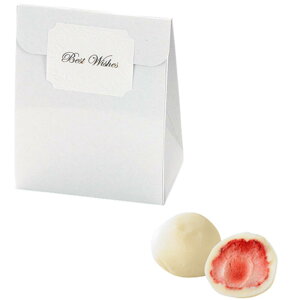 y5P5{+200~OFFN[|z fBAEvZX zCgXgx[`R 20Zbg yheartyz v`Mtg َq 500~ 300~ ސE    NX}X  N 2026