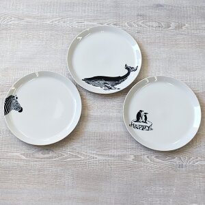 y1P10{+180~N[|z B&M Zoo HAPPYv[g3P y10Zbgz ysunveilz v`Mtg NX}X  N 2026N ސE  oY x bɂȂ܂  ii   2