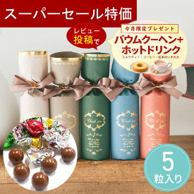 【4日20時〜P10倍＋150円クーポン】 グレイス・ショコラ チョコ プチギフト お菓子 500円 300円 退職 大量 個包装 結婚式 職場 卒園 卒業 バレンタイン センスのいい お礼 ありがとう ギフト ばらまき 産休 挨拶 子供 お世話になりました ココサブ