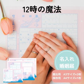 【15日限定P5倍+200円OFFクーポン】 名入れあり 婚姻届 12時の魔法 提出用 記念用 3枚セット 可愛い かわいい キャラクター 記念 役所に提出可能 1000円ポッキリ 送料無料 ポイント消化 オリジナル 婚姻届 デザイン【名入れ可能】