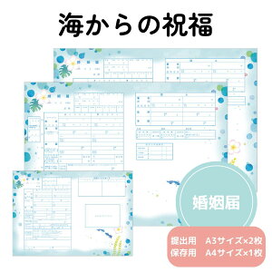 y10/4-9聚őP10{+180~N[|z  C̏j op LOp 3Zbg  킢 LN^[ LO ɒo\ 1000~|bL  |Cg IWi 