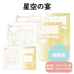 【29日まで!80円OFFクーポン配布中】 婚姻届 星空の宴 提出用 記念用 3枚セット 可愛い かわいい キャラクター 記念 役所に提出可能 1000円ポッキリ 送料無料 ポイント消化 オリジナル 婚姻届