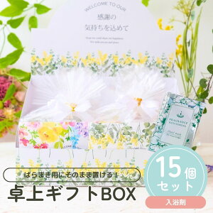 y1P10{+180~N[|z v`Mtg  MtgBOX 15Zbg 500~ 300~ ސE      E NX}X  N 2026N  v[g  