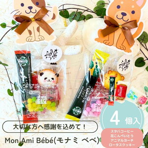 y1P10{+180~N[|z v`Mtg Mon Ami Bebe i~ xx َq R[q[ 500~ 300~ ސE      E NX}X  N 2026N  v[g 