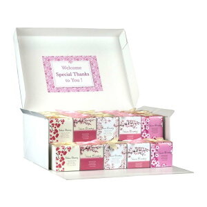 y11/20-27聚őP10{+180~CPz v`Mtg َq OBoxZbg yHazuwellz ސE      E nEB  N 2026N  v[g 