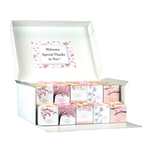 y11/20-27聚őP10{+180~CPz v`Mtg َq BoxZbg yHazuwellz ސE      E nEB  N 2026N  v[g  