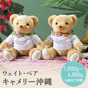 y11/20-27聚őP10{{200~N[|z yEFCgExAz L[ EFCgxA Mtg j  o v Mtg Mtg j  o v 