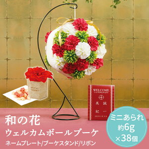 y1P10{+180~N[|z ả EFJ{[u[P ysunveilz v`Mtg NX}X  N 2026N ސE  oY x bɂȂ܂ 肪Ƃ܂ 