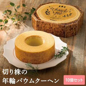 y1P10{+180~N[|z ؂芔̔NփoEN[w y10Zbgz ysunveilz v`Mtg NX}X  N 2026N ސE  oY x bɂȂ܂  ii 