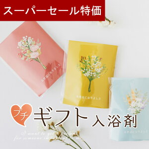 y420`P10{+150~N[|z v`Mtg  bNXԑ 500~ 300~ ސE      E NX}X  N 2026N  v[g  肪Ƃ