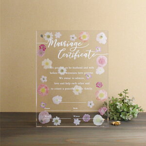 y5P5{+200~OFFN[|z ANؖ t[ NA  AN ؖ IV QXgQ^ Q^ LXg lO t[  hbv EFfBO 