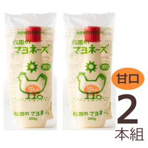y݁zc̃}l[YiÌj300g ×2{g