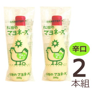 y݁zc̃}l[Yihj300g ×2{g