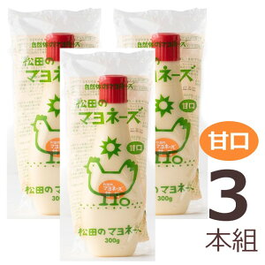 y݁zc̃}l[YiÌj300g ×3{g