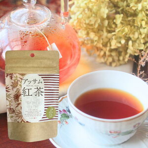 ̂݁@AbTgeB[obO 傫ڃ}OJbv10tiܒE2g×10j