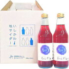 能登の里山サイダー　青のしずく（340ml×6本組）（A-06）