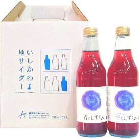 能登の里山サイダー　青のしずく（340ml×6本組）（A-06）Ante アンテ【メーカー直送】【代金引換不可】【同梱不可】