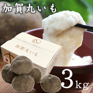 y݁zΐ쌧Y@ۂi3kgjyJA蒼zysȄisz