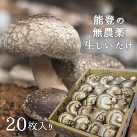 楽天市場 とっこの通販