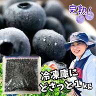 栽培期間中農薬不使用　ひらみゆき農園フローズンブルーベリーどさっと1kg☆【業務用にも】ジッパー付き…